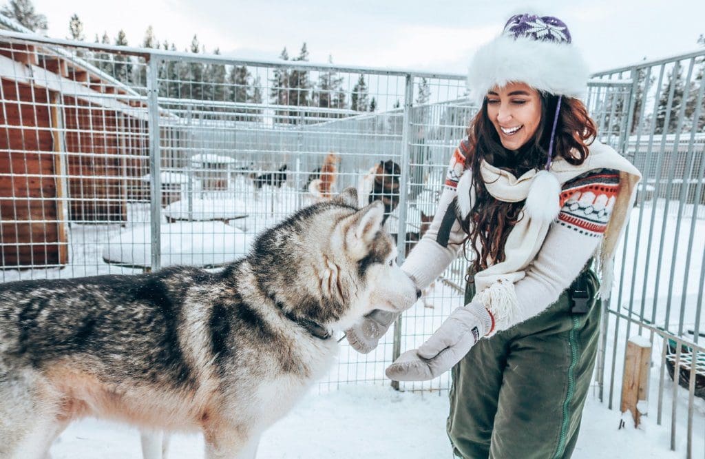 what do you wear dog sledding