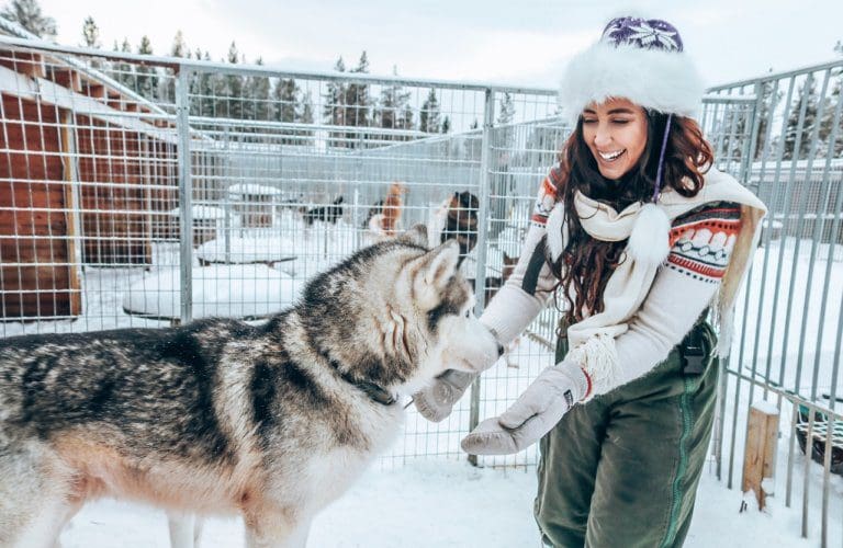 What To Wear Dog Sledding A Complete Packing List For Staying Warm
