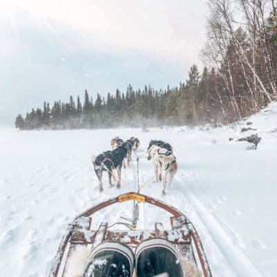 Dog Sledding in Sweden- Where to Go and How to Get There