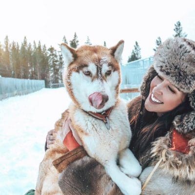 How To Find Work With A Dog Sled Company – And Where Exactly to Apply