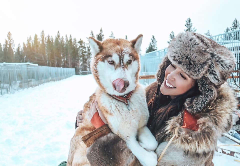 How To Find Work With A Dog Sled Company