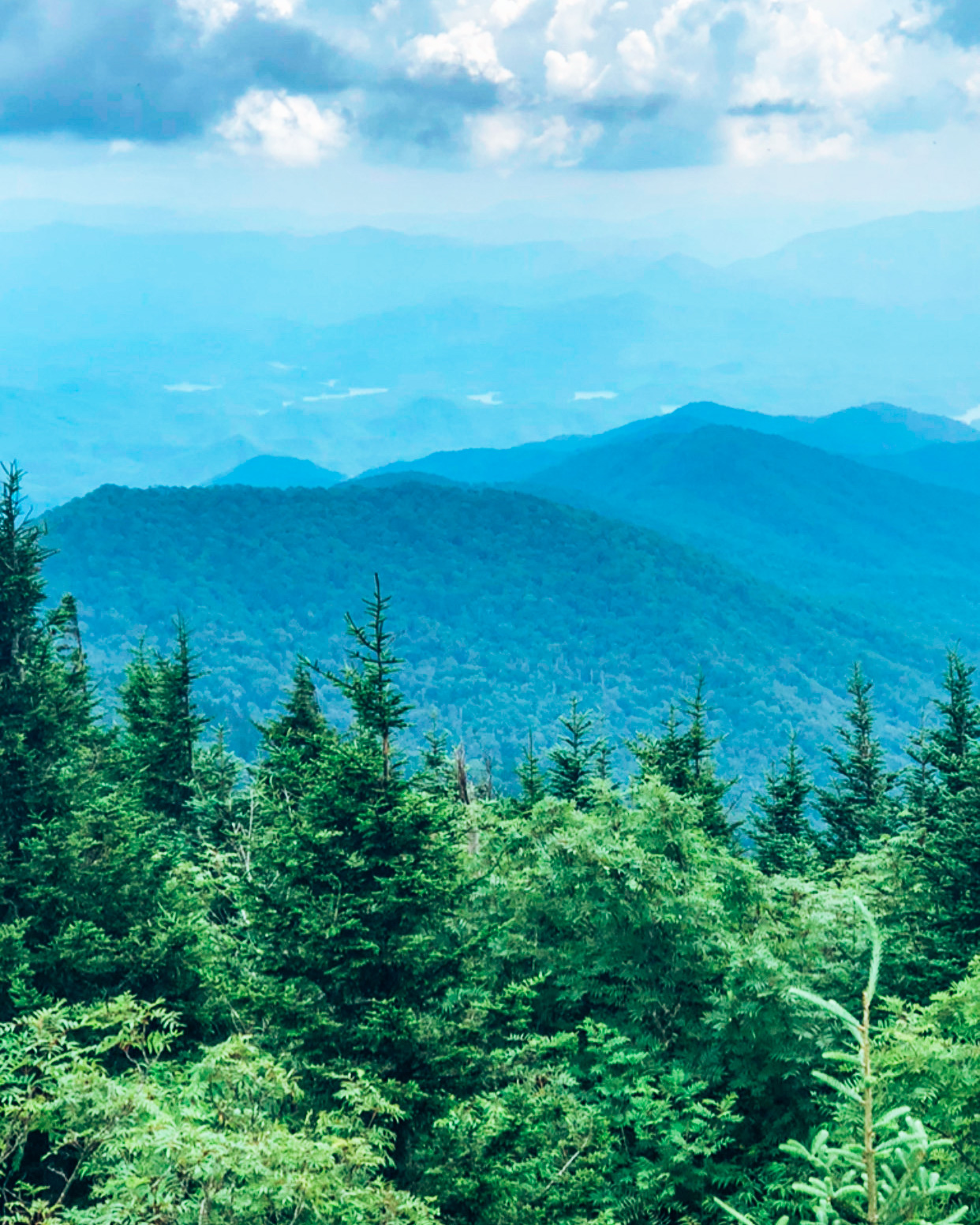 Smoky Mountains National Park Things To Know 