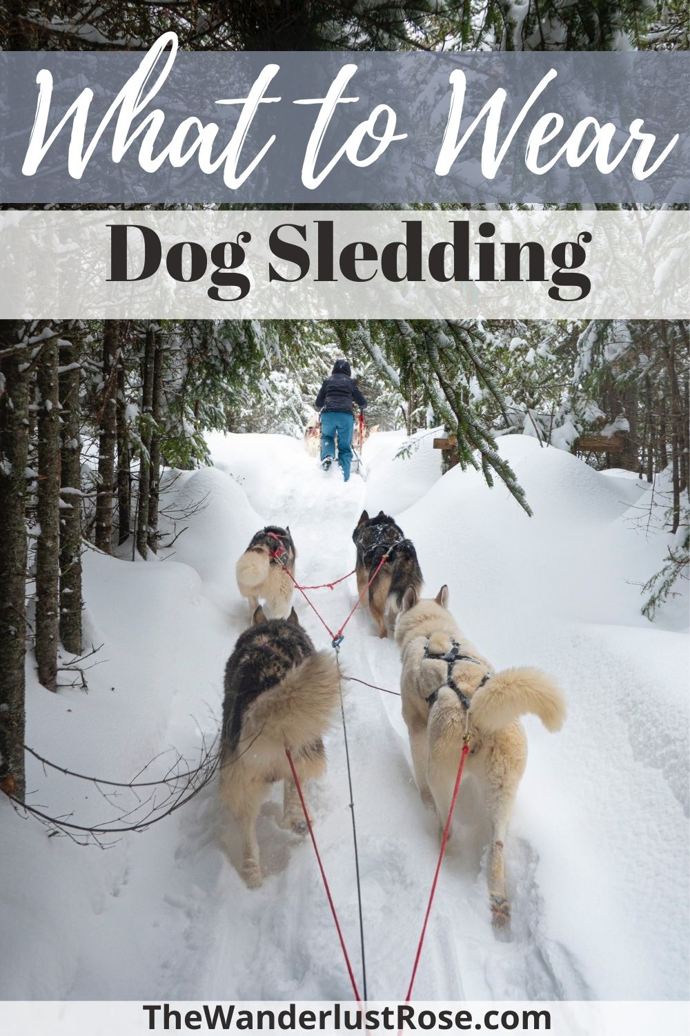 what do you wear dog sledding