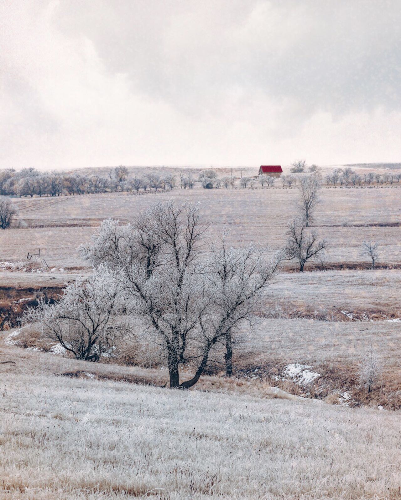 An Authentic Western Vacation At A South Dakota Guest Ranch The