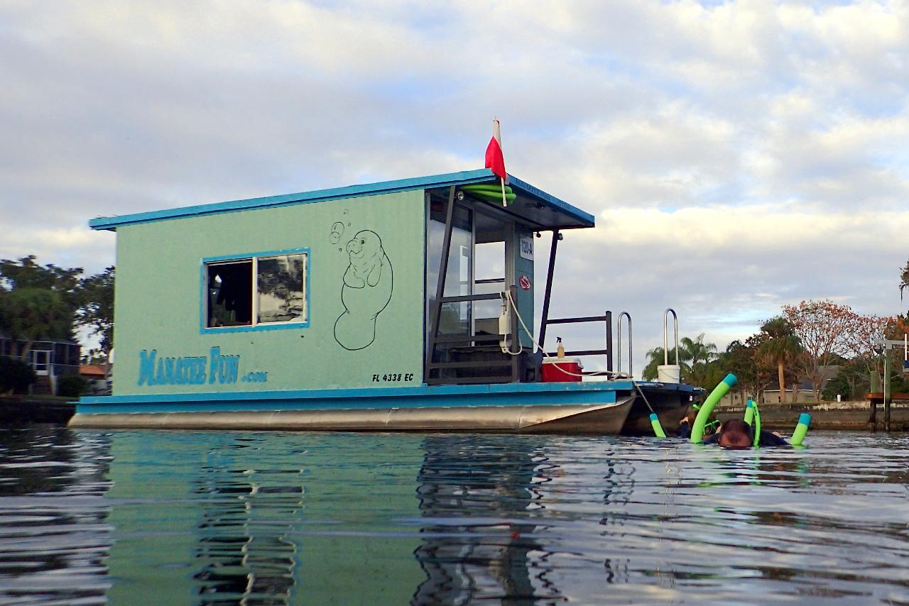 Swimming With Manatees in Florida - The Wanderlust Rose