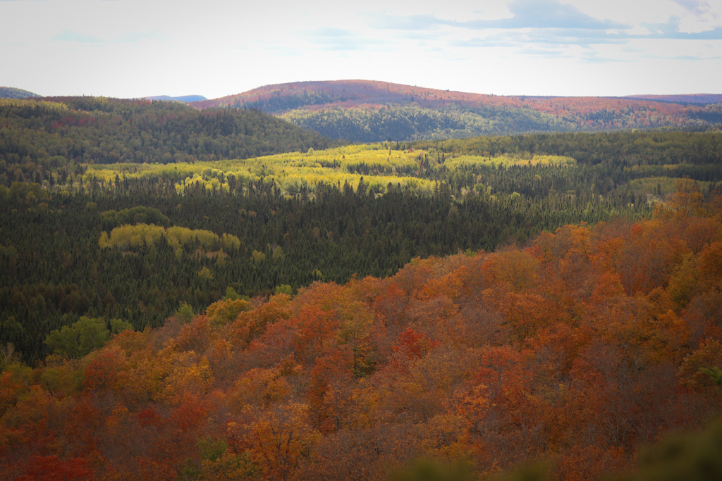 Places You Can't Miss For Fall Foliage in Minnesota - The Wanderlust Rose