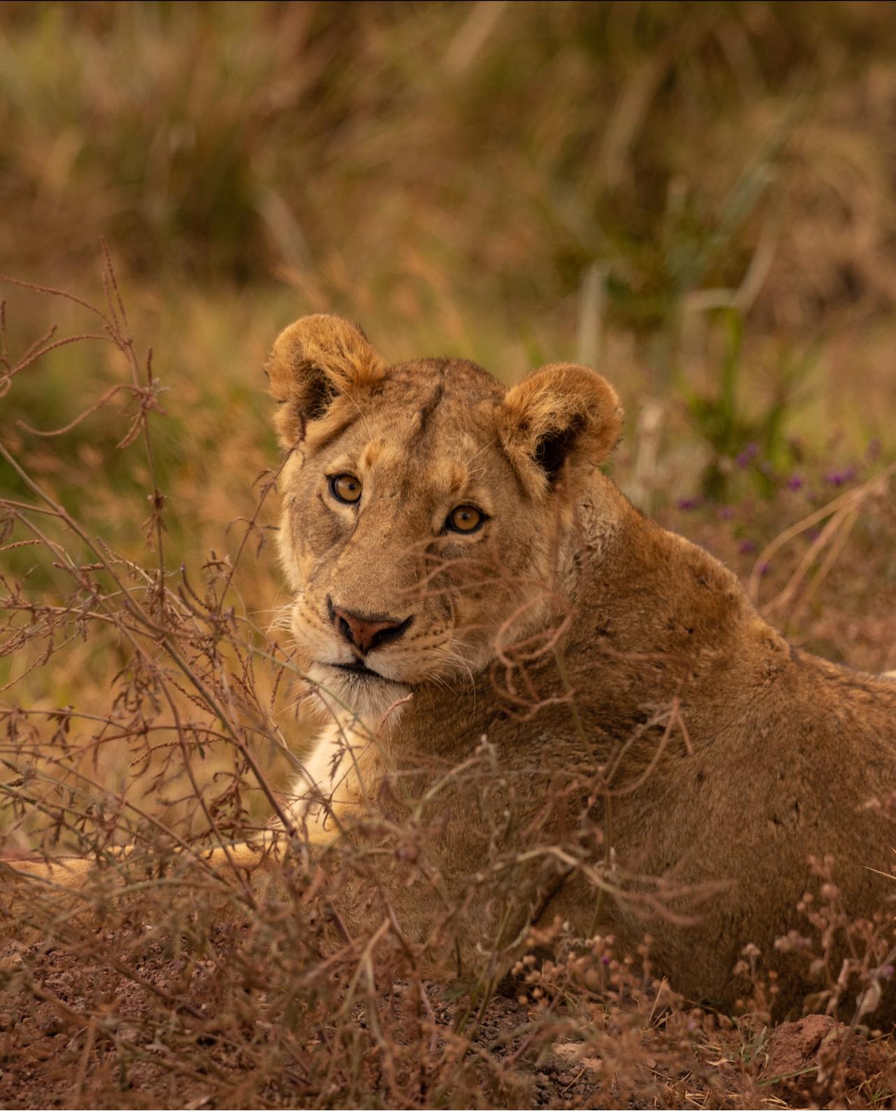 20 Photos To Put Tanzania On Your Bucket List