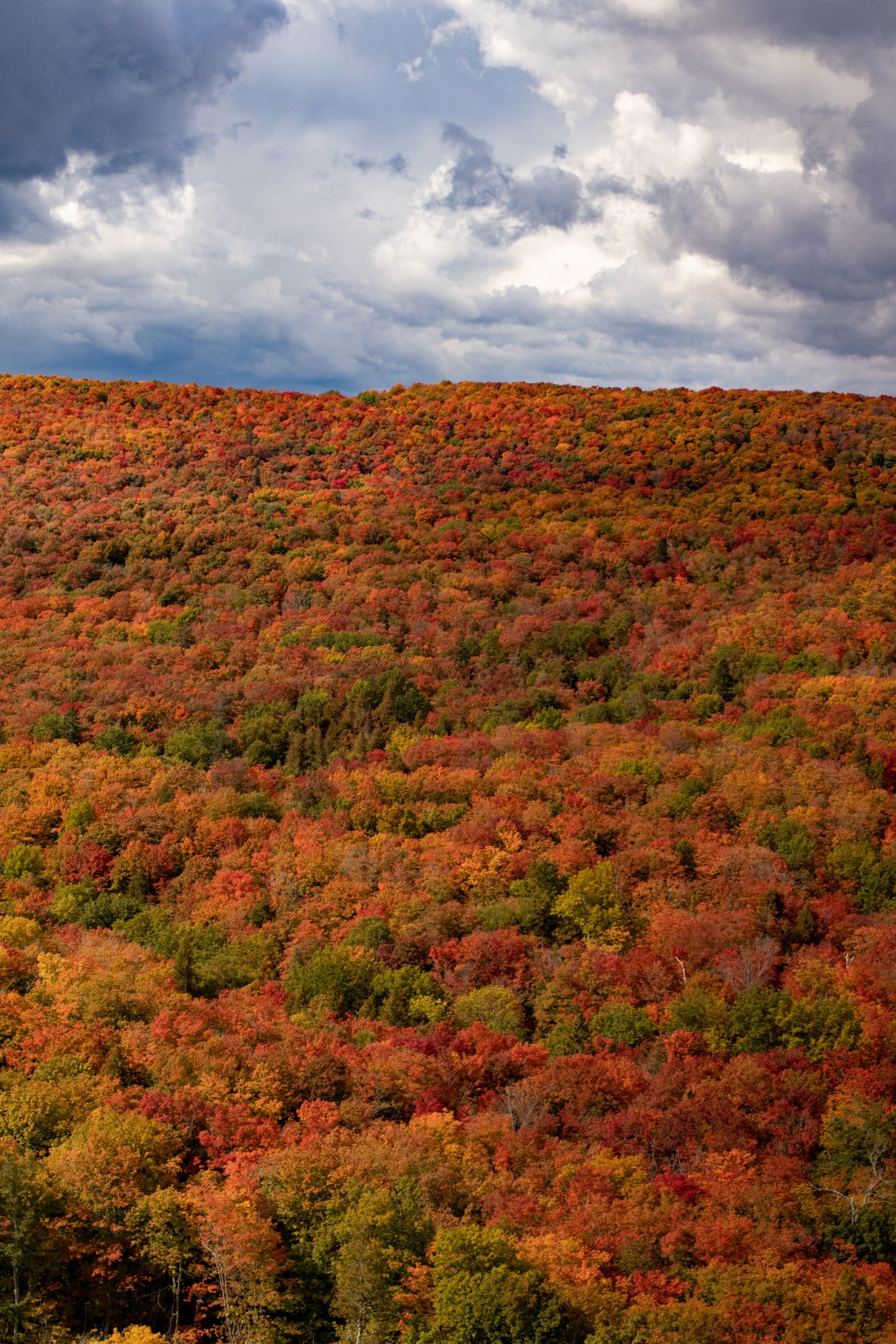 Places You Can't Miss For Fall Foliage in Minnesota - The Wanderlust Rose