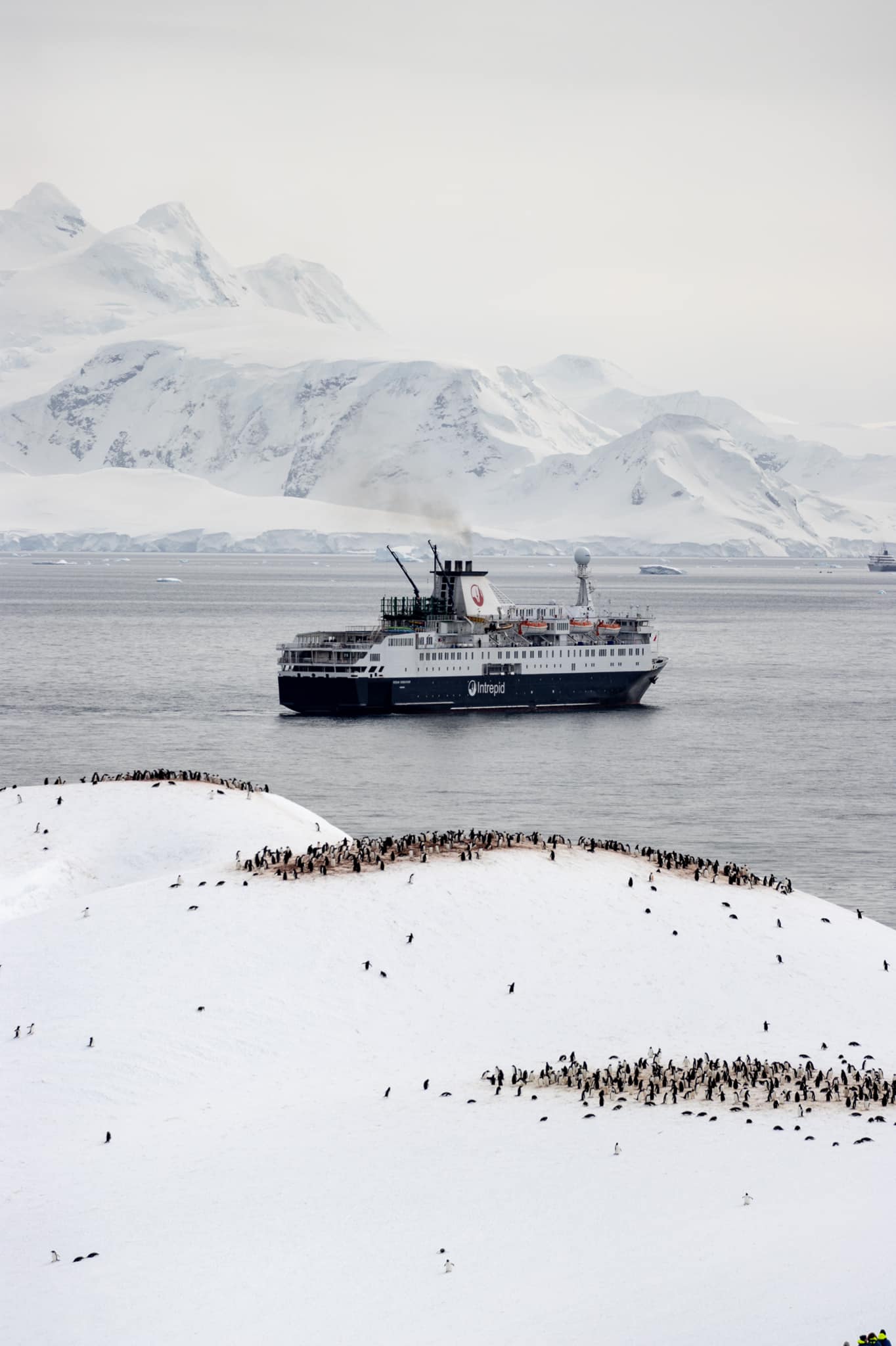 20 Photos To Put Antarctica On Your Bucket List - The Wanderlust Rose