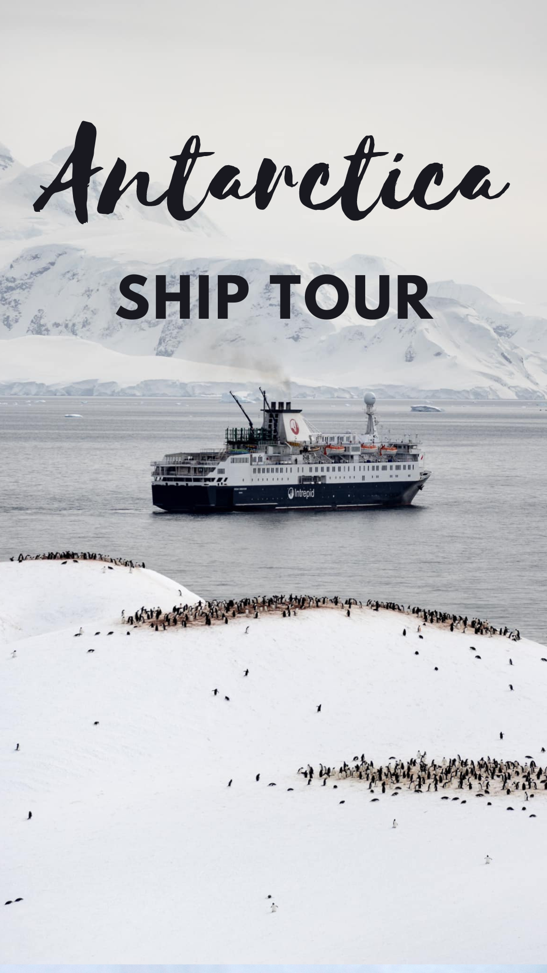 Antarctica Ship Tour: MS Ocean Endeavour with Intrepid Travel