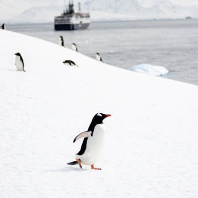 20 Photos To Put Antarctica on Your Bucket List