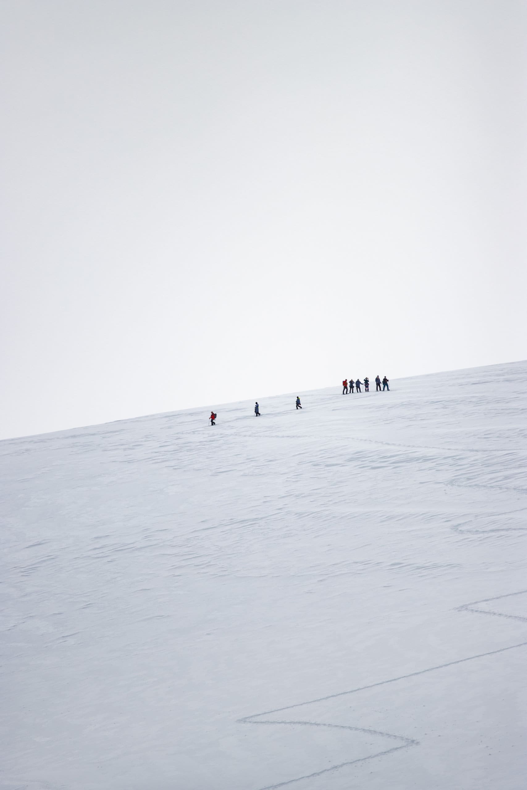 Antarctica Bucket List Ideas: 13 Amazing Things To Do On The White ...