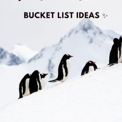Antarctica Bucket List Ideas: 13 Amazing Things To Do On The White Continent